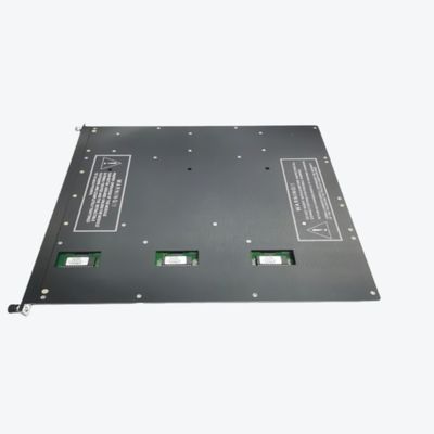 MÓDULOS REMOTOS DEL SUPLEMENTO DEL SISTEMA DE CONTROL DISTRIBUIDO DE TRICONEX 4210 DCS