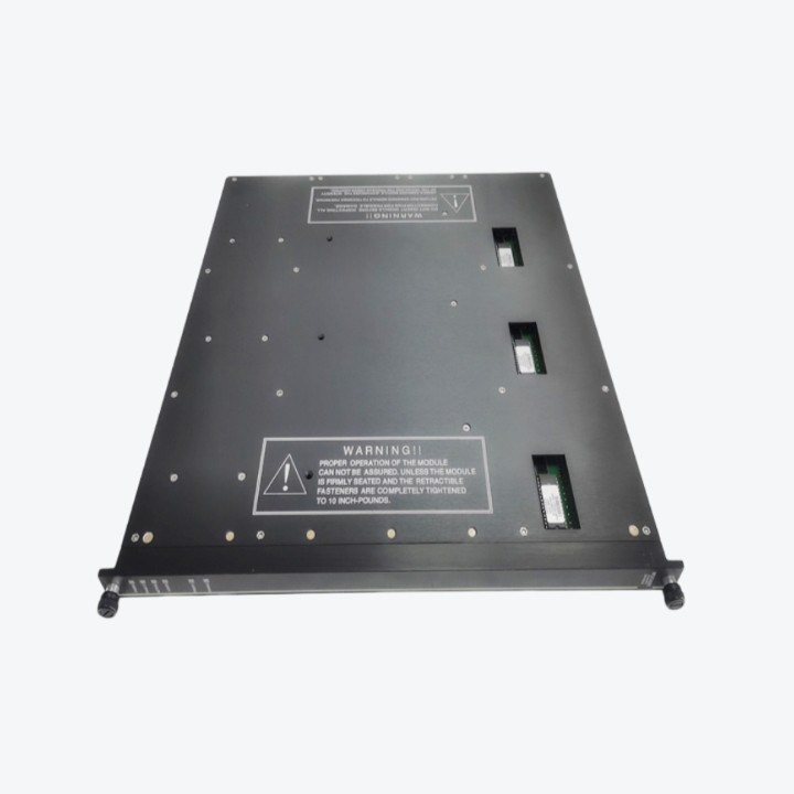 TICONEX 9763-810 PANEL de voltaje de entrada a largo plazo